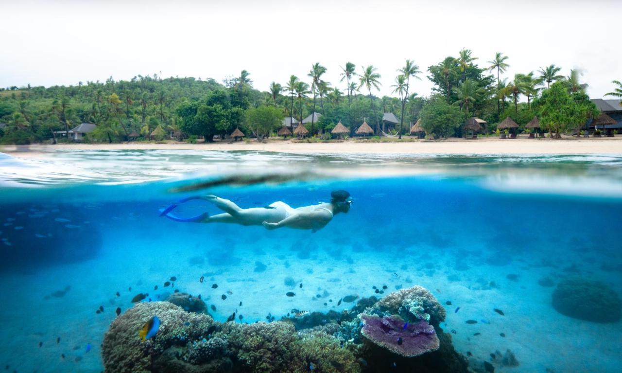Paradise Cove Resort Naukacuvu Island Eksteriør billede