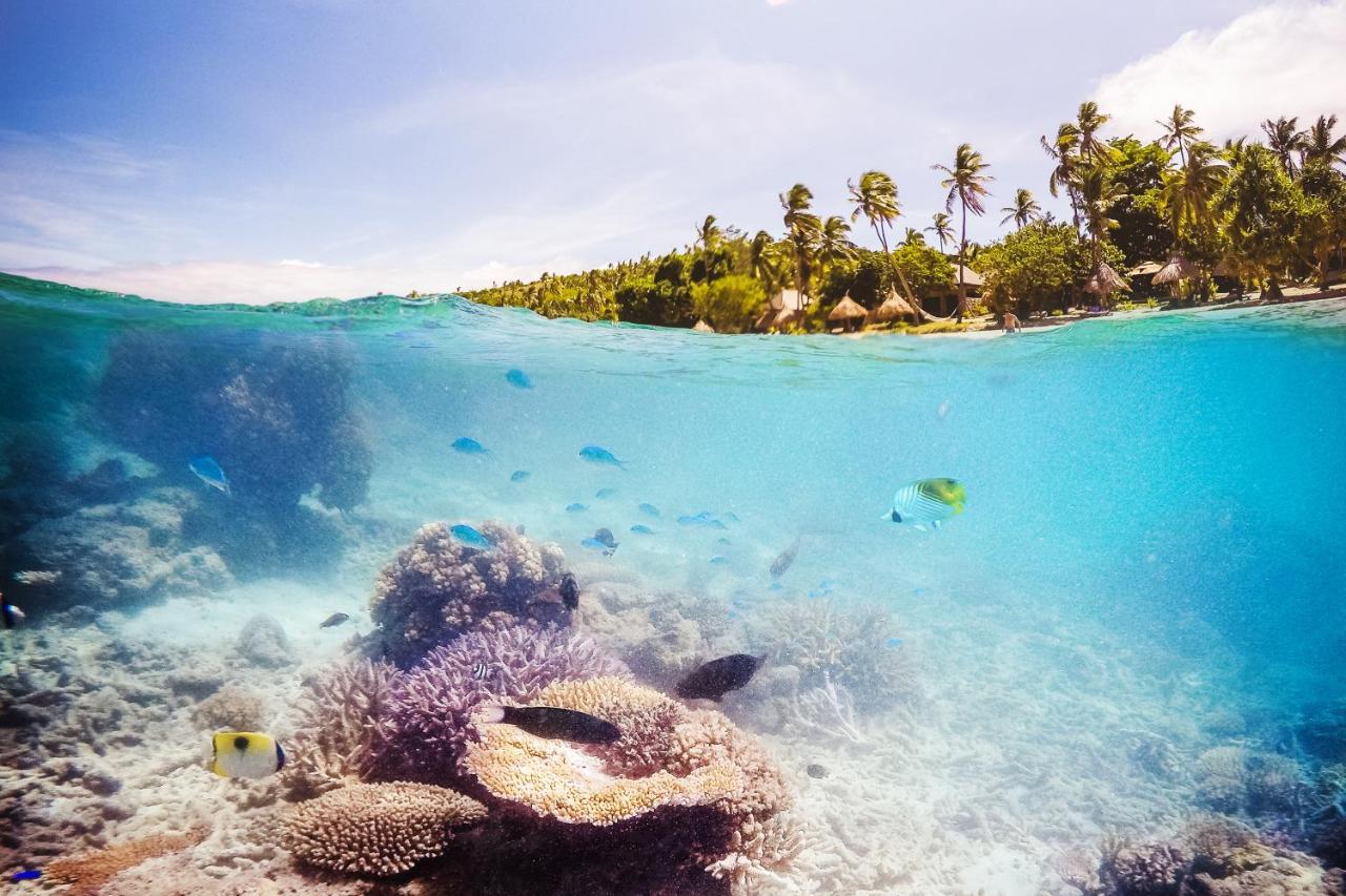 Paradise Cove Resort Naukacuvu Island Eksteriør billede